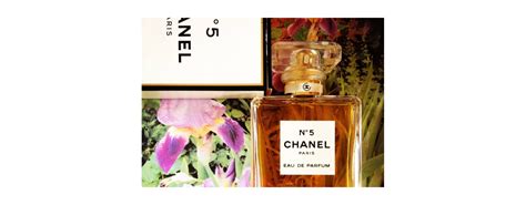 duftzwilling chanel no 5 dm